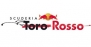 Klub sportowy Toro Rosso w