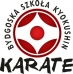 Bydgoska Szkoła Kyokushin Karate Bydgoszcz