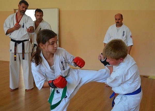 Toruński Klub Karate Kyokushin 
www.TorunKarate.pl
tel. 609 595 858