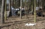 PAINTBALL WOLA K/ ŻNINA fotka z pola do gry