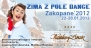 zima z Pole dance