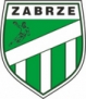 NMC POWEN Zabrze - Wisła Płock S.A.